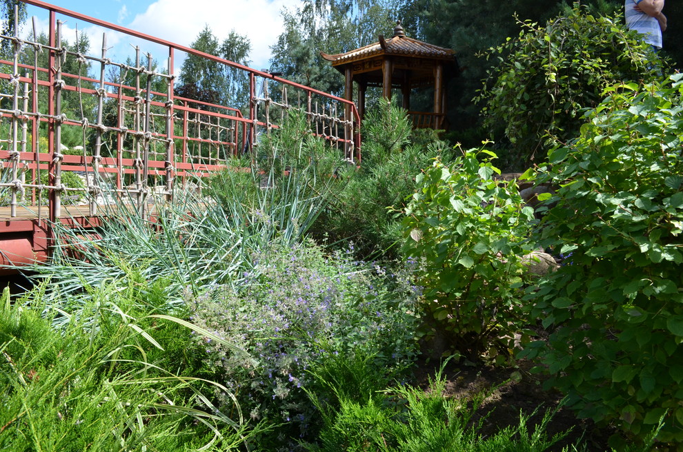 Китайский сад в Потапово.