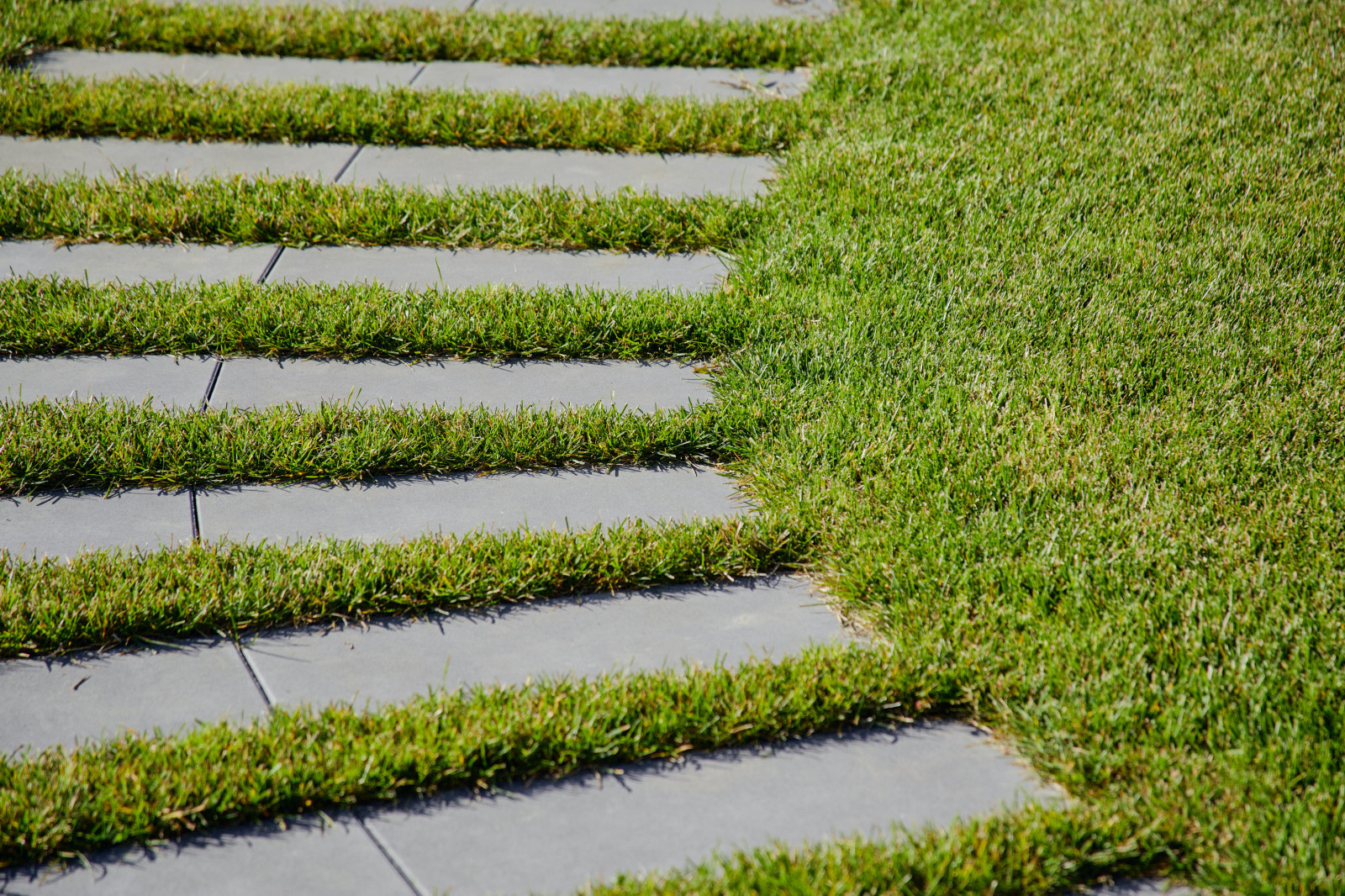 Репино парк сад камня