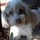 dorothy_weaver2852699