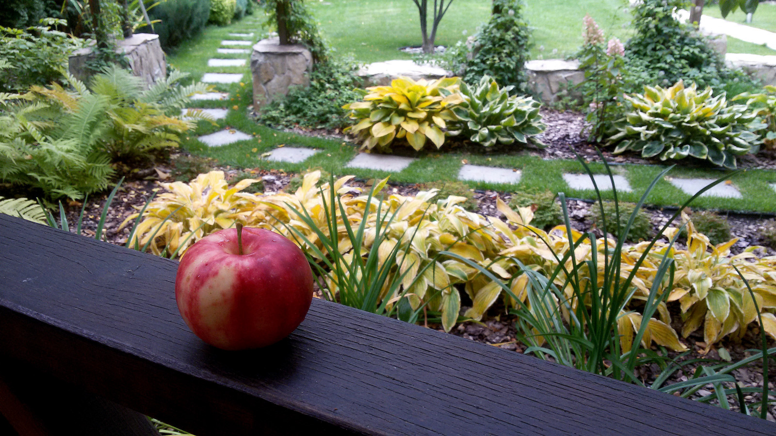 "Кленовый лист"