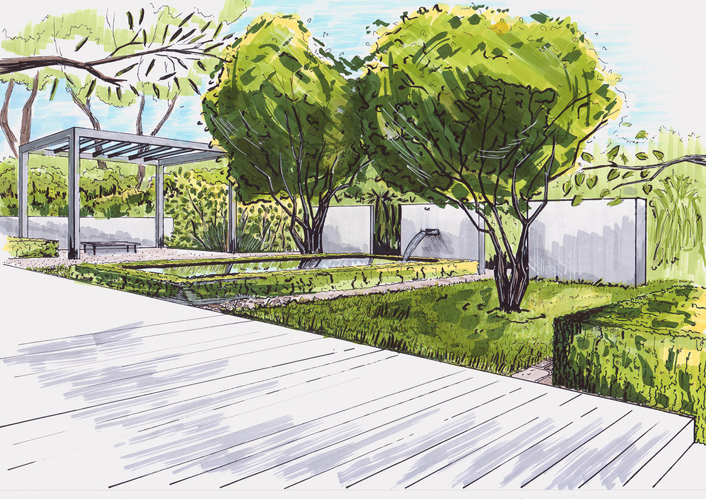 Современный сад