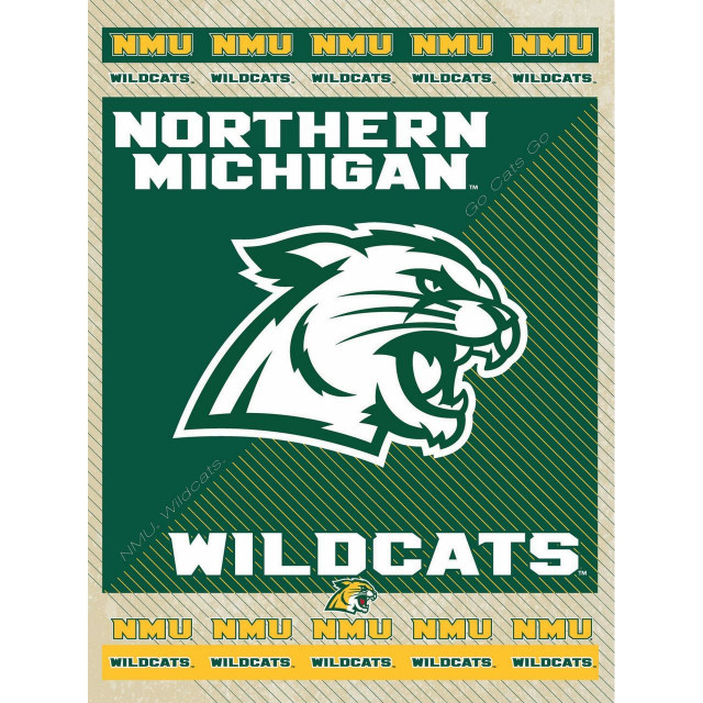 Holland Northern Michigan University 15"x20" Canvas 04 Wall Art