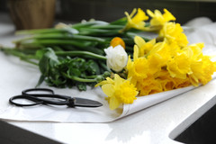 To-Dos: Your March Home Checklist