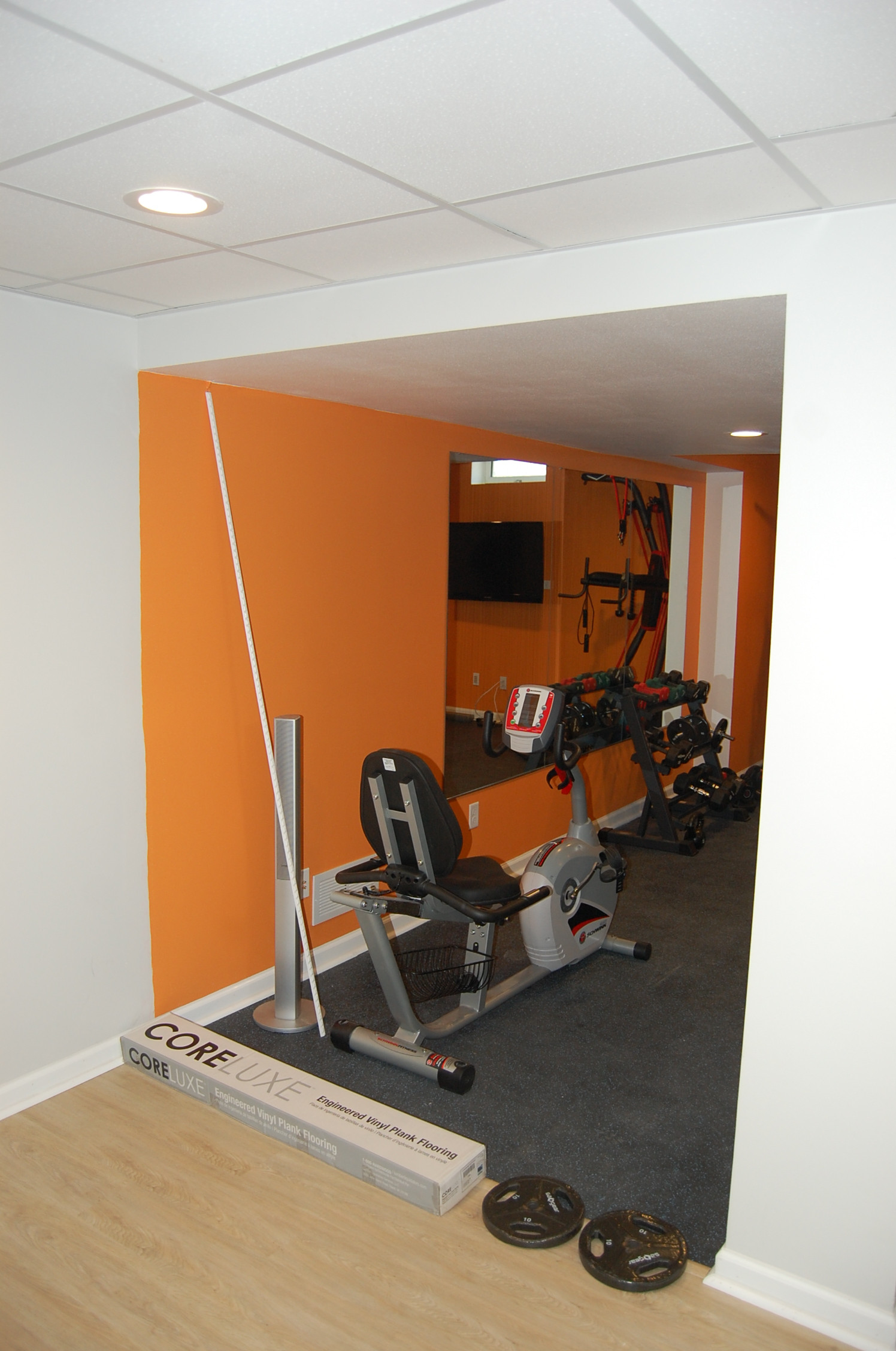 Basement office and work out area