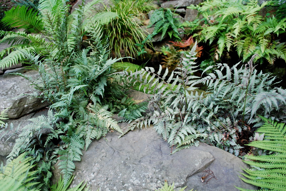 Inspiration for an eclectic landscaping in Charlotte.