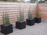 Modern Landscape by BRADANINI & ASSOCIATES