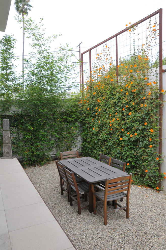 This is an example of a modern backyard garden in Los Angeles.