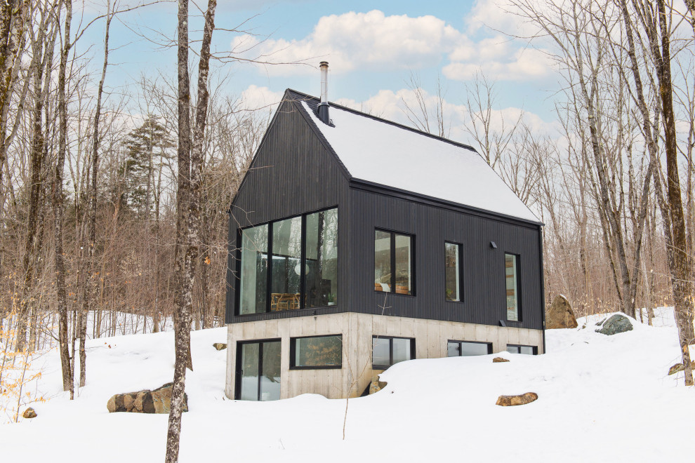 Idées déco pour une façade de maison noire scandinave en bois.