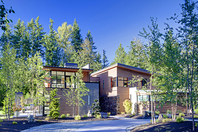 Forest House contemporaneo-fachada