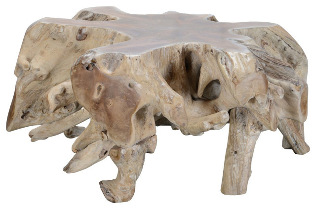 Large Teak Root Coffee Table - Transitional - Coffee Tables - by Terra ...