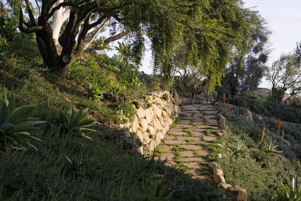 This is an example of a contemporary garden in Santa Barbara with a retaining wall.