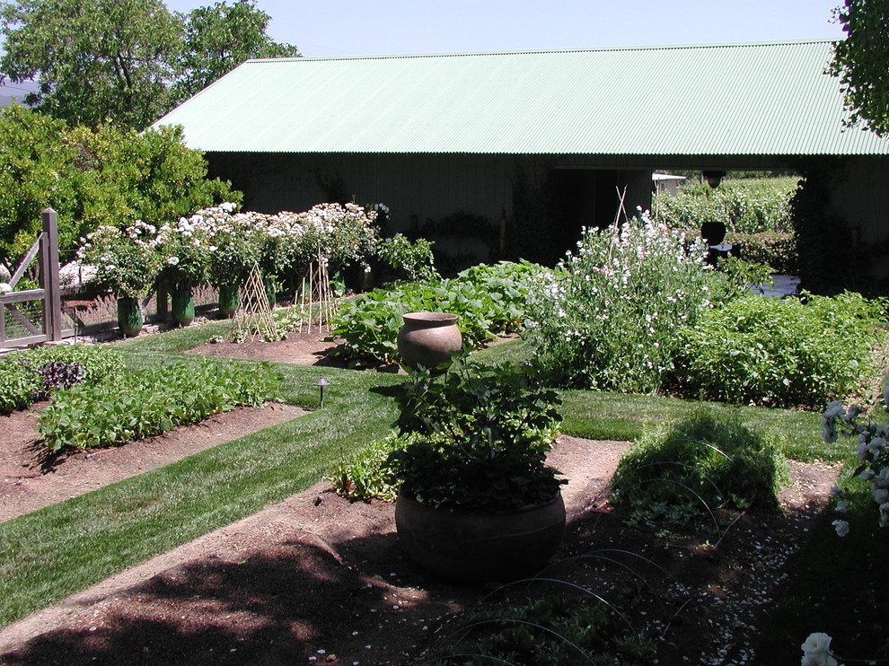 This is an example of a contemporary backyard partial sun garden for summer in San Francisco with a vegetable garden.