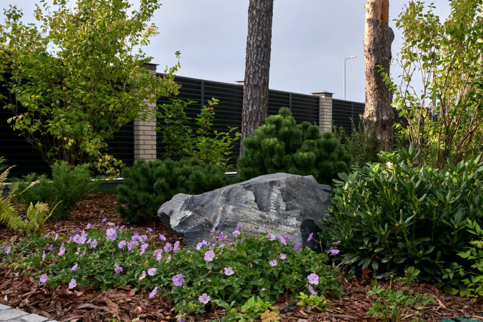 Репино парк