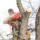 Tree Surgeon Expert & Landscaping LLC
