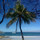 patricia_lobinger