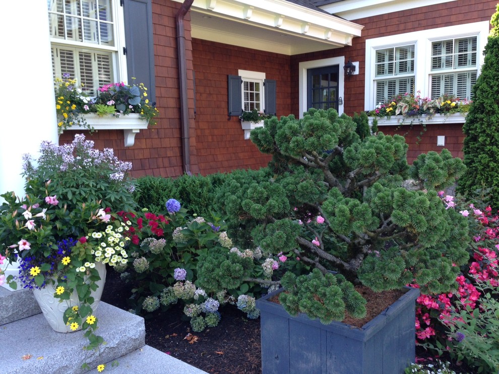 Inspiration for a mid-sized traditional front yard full sun formal garden for summer in Portland Maine with a garden path and concrete pavers.