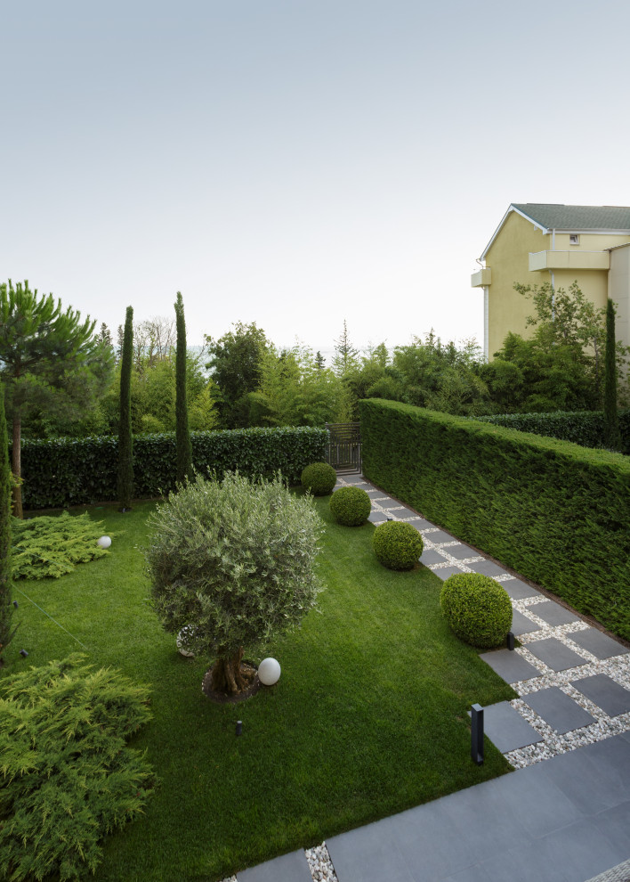 Розмарин. Ландшафтный Дизайн