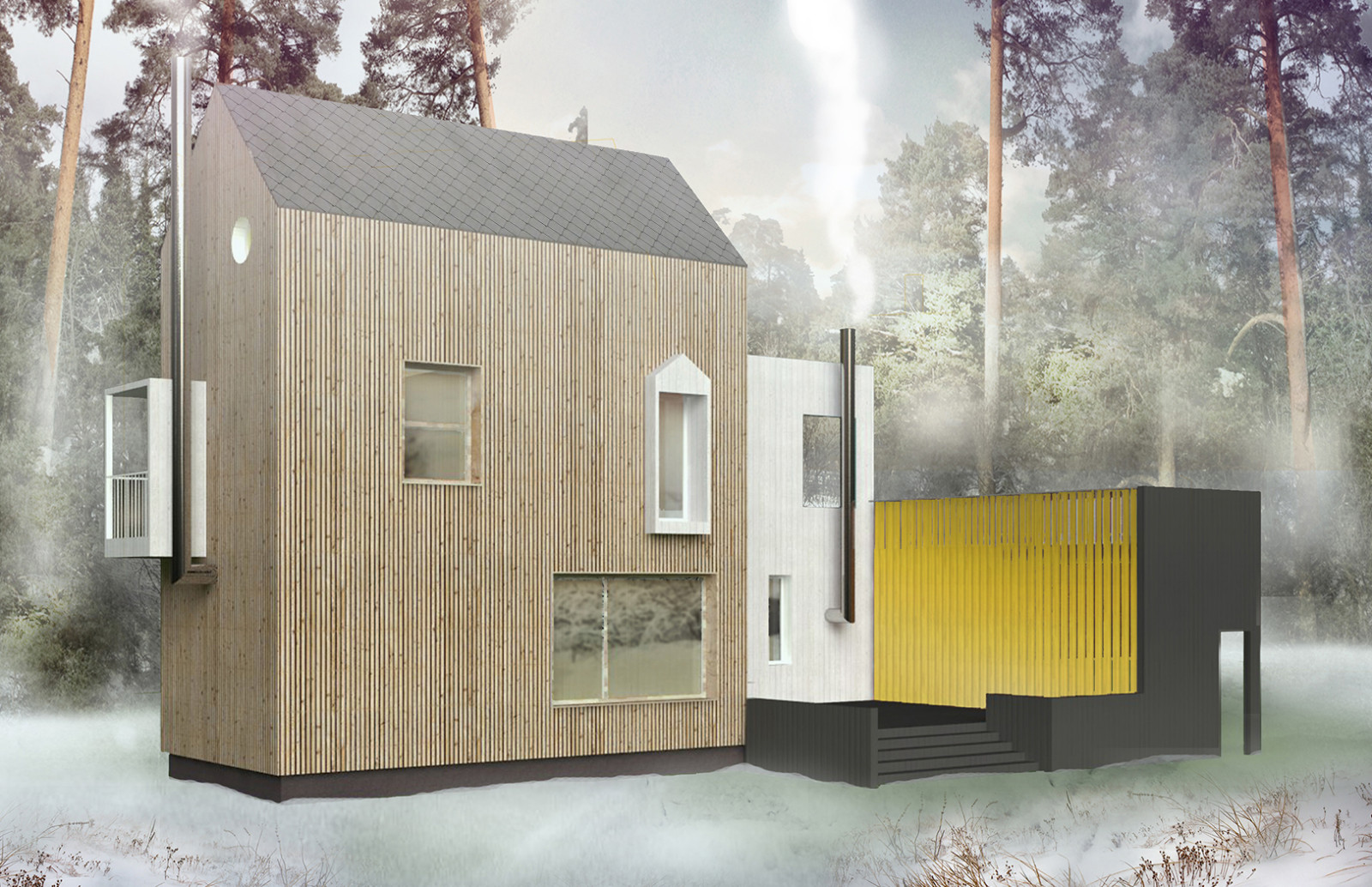 Частный дом в Загорянке