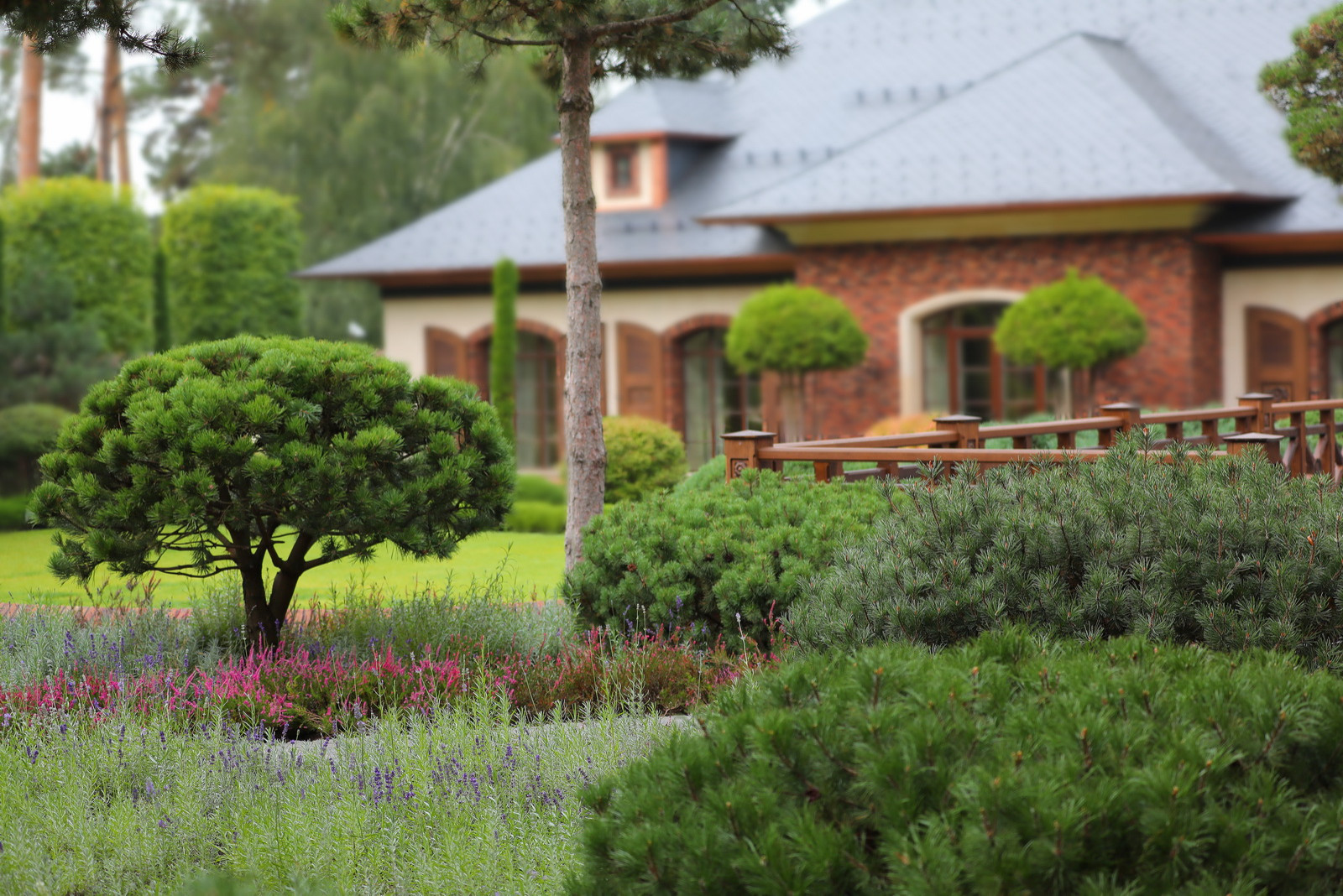Коттеджный сад в Барвихе (дизайн и исполнение компании "Imperial Garden")