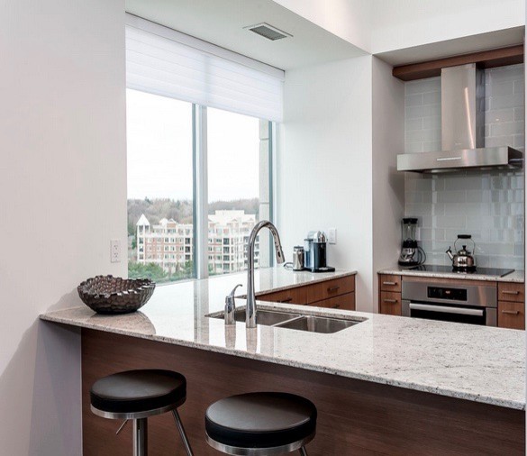 Custom Kitchen contemporary-kitchen