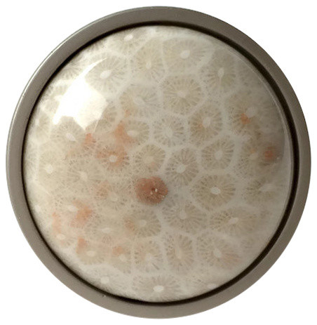 Coral Fossil Stone Knob Contemporary Cabinet And Drawer Knobs