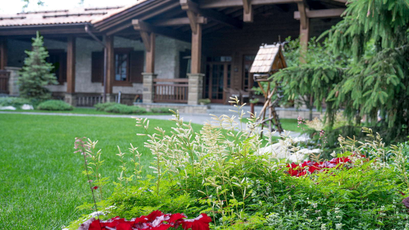 Мечта об Альпах. КП "Вымпел", Новорижское шоссе. 2017 г.