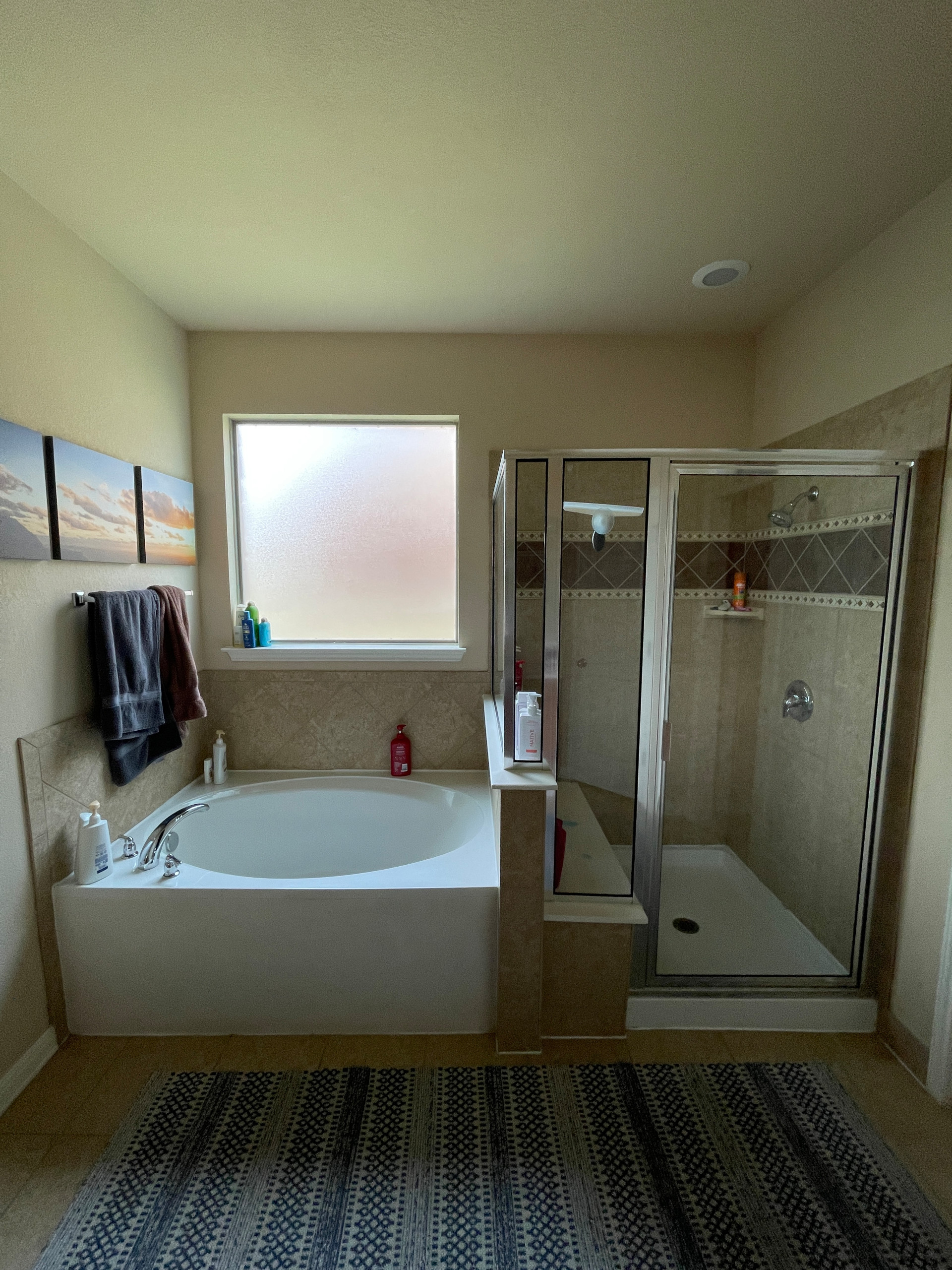 Bee Caves Full Renovation - Master Suite