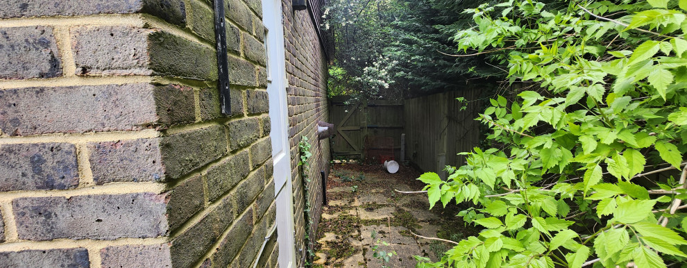 Woodpecker close Cobham