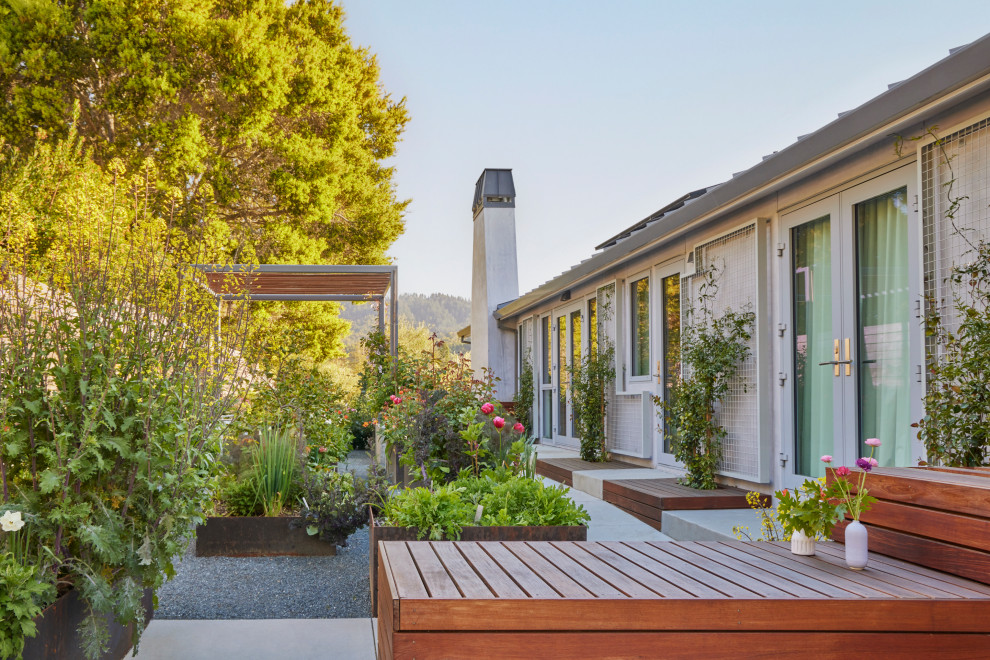 Photo of a mid-sized modern side yard gravel raised garden bed in San Francisco.