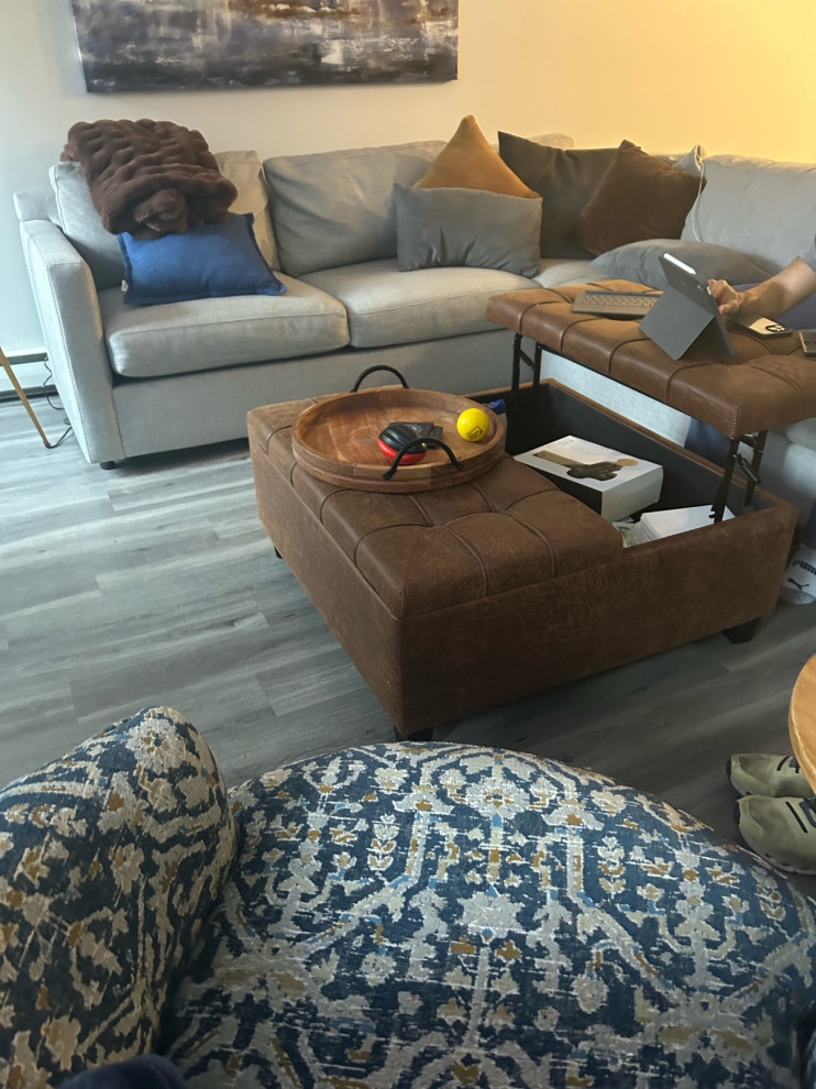 area rug for living room | Houzz Forum