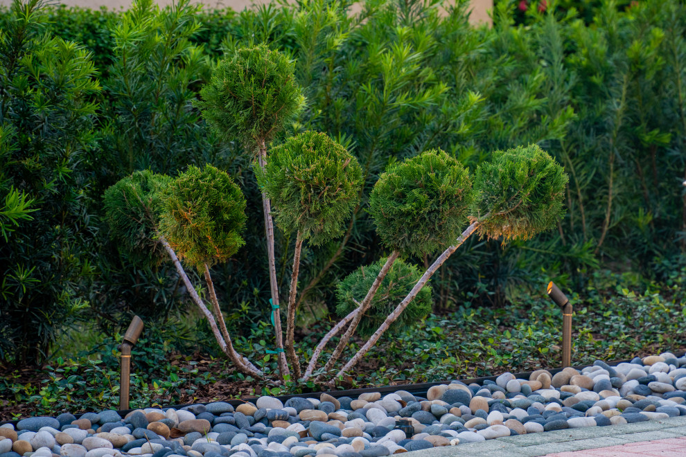 Idee per un grande giardino vittoriano esposto in pieno sole dietro casa in estate con pacciame e recinzione in metallo