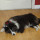 joanne_smith8079