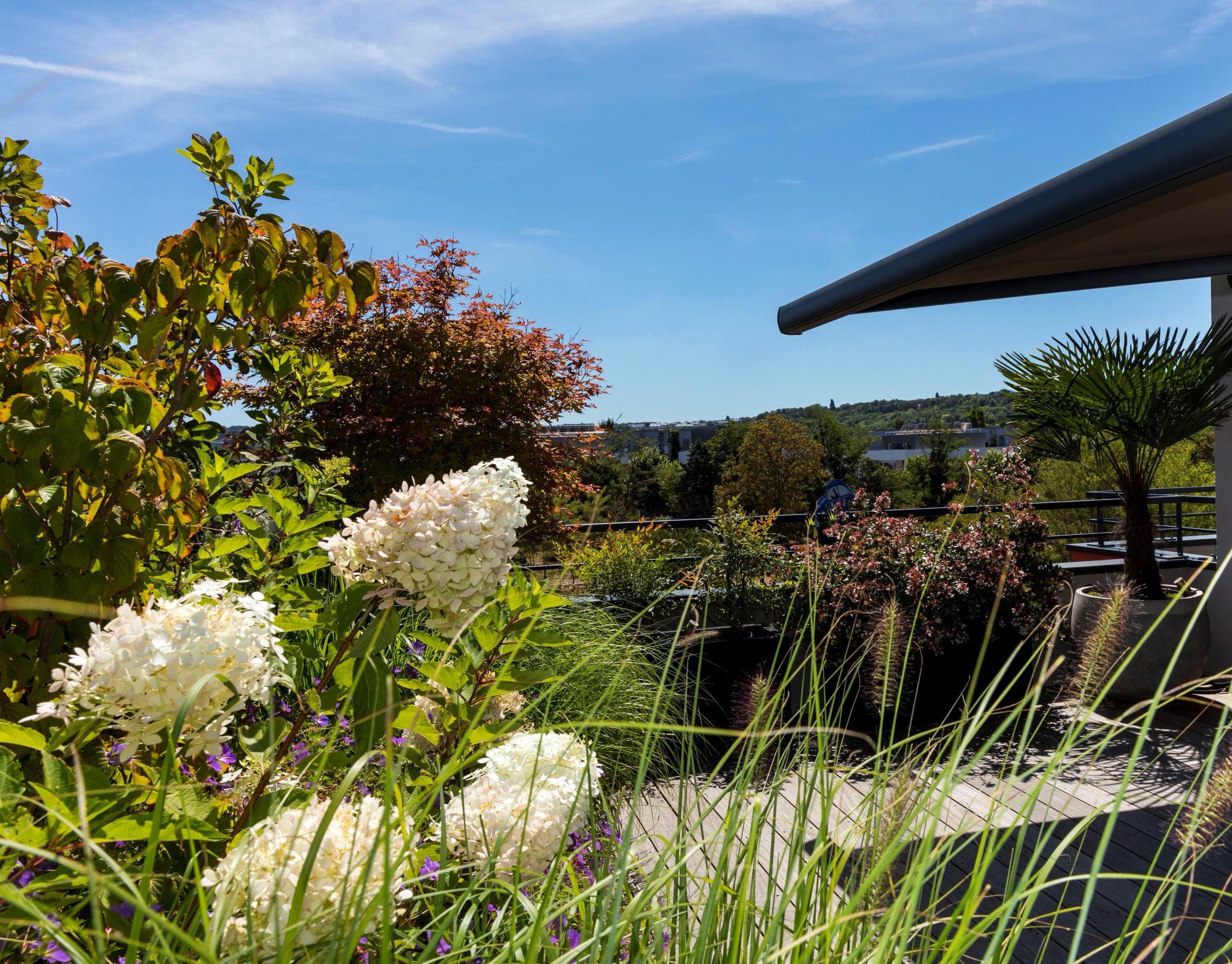 une terrasse foisonnante!