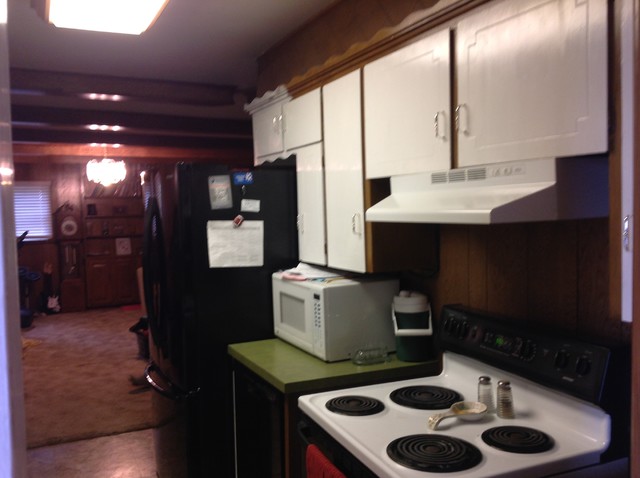 Eckhardt transitional