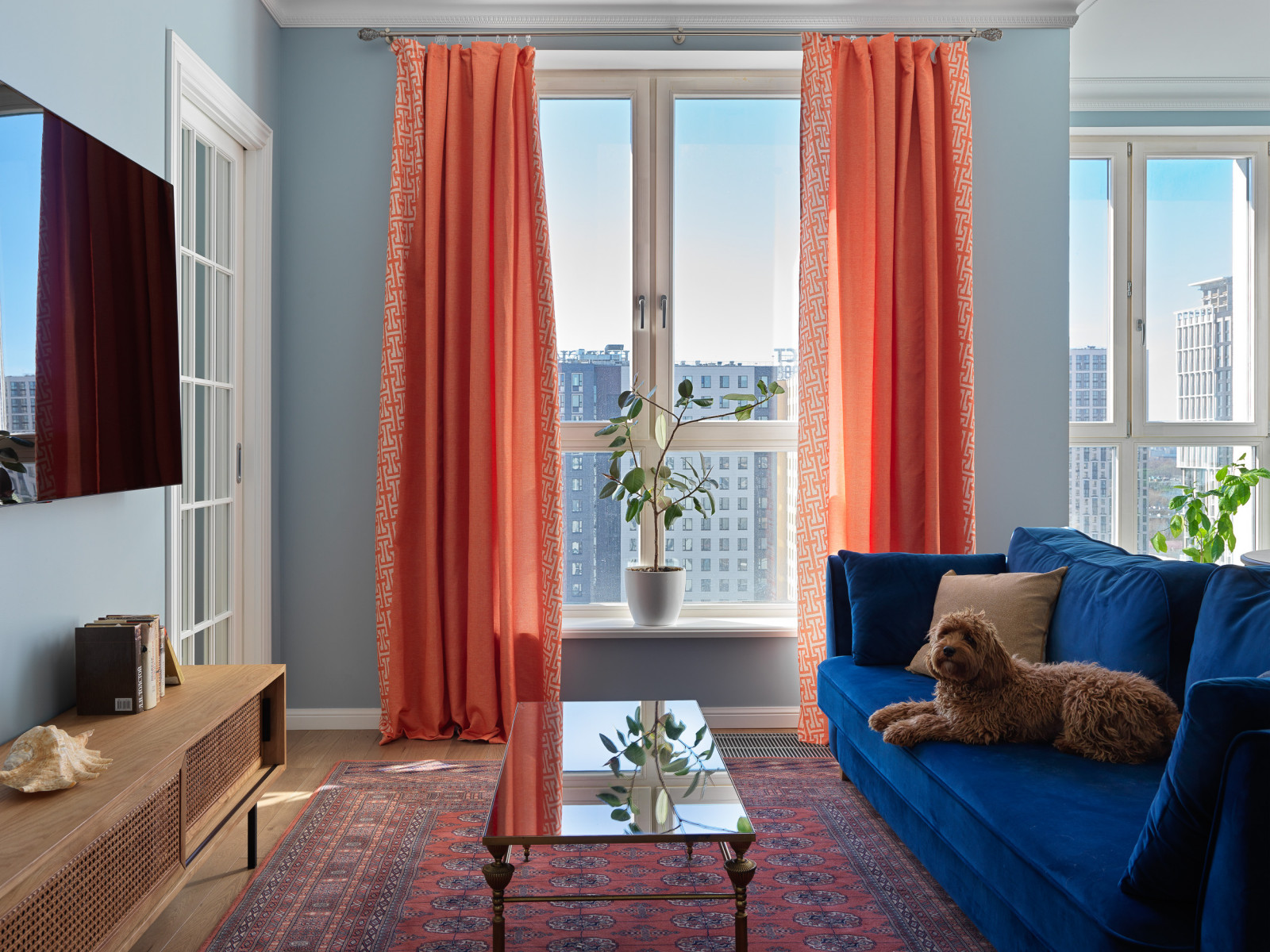 Синий бархат