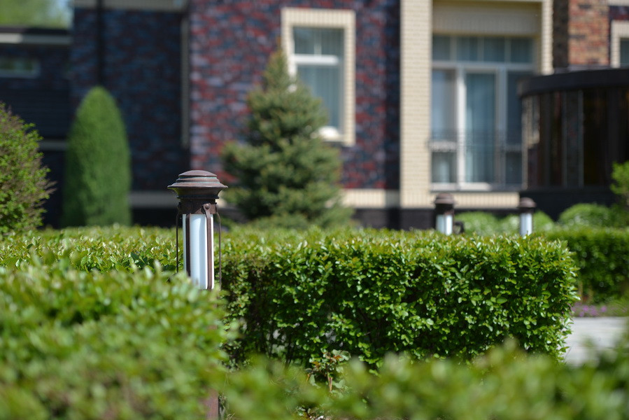 Летова роща