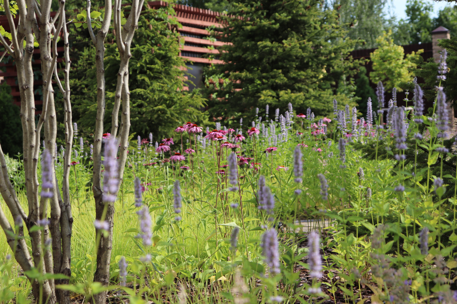 WB Парковая часть