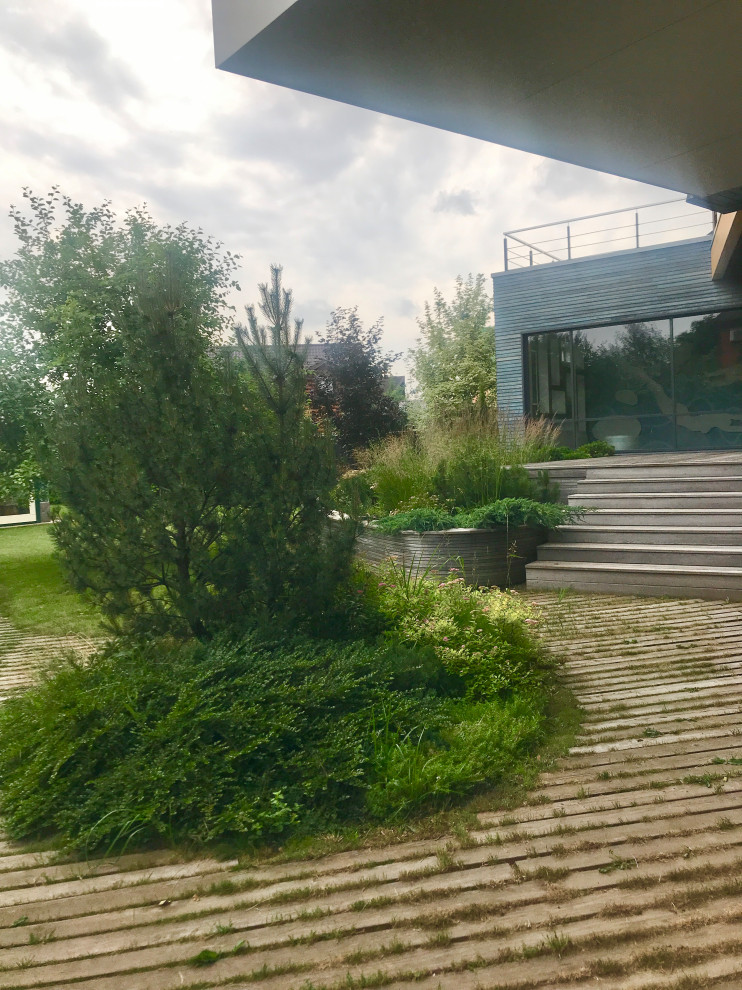 Проект «Равновесие»