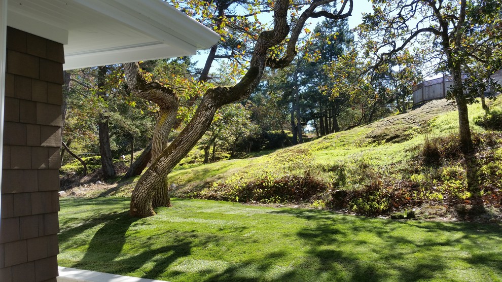 This is an example of a mid-sized transitional drought-tolerant and full sun backyard landscaping.