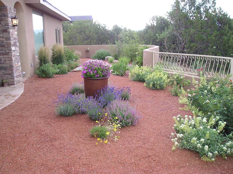 Eclectic garden in Albuquerque.