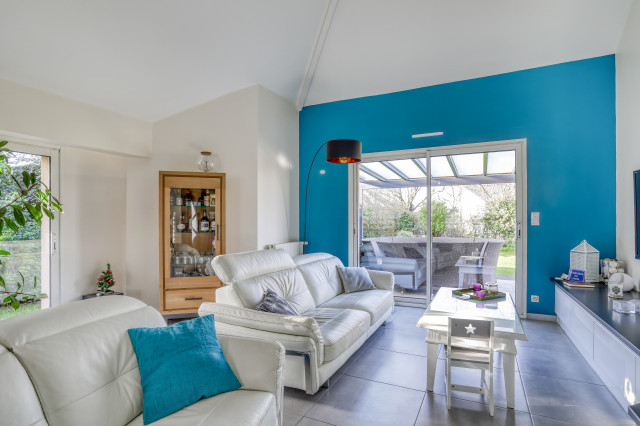 Salon Bleu contemporary-vardagsrum