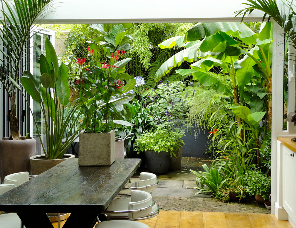 Design ideas for a tropical garden in London.