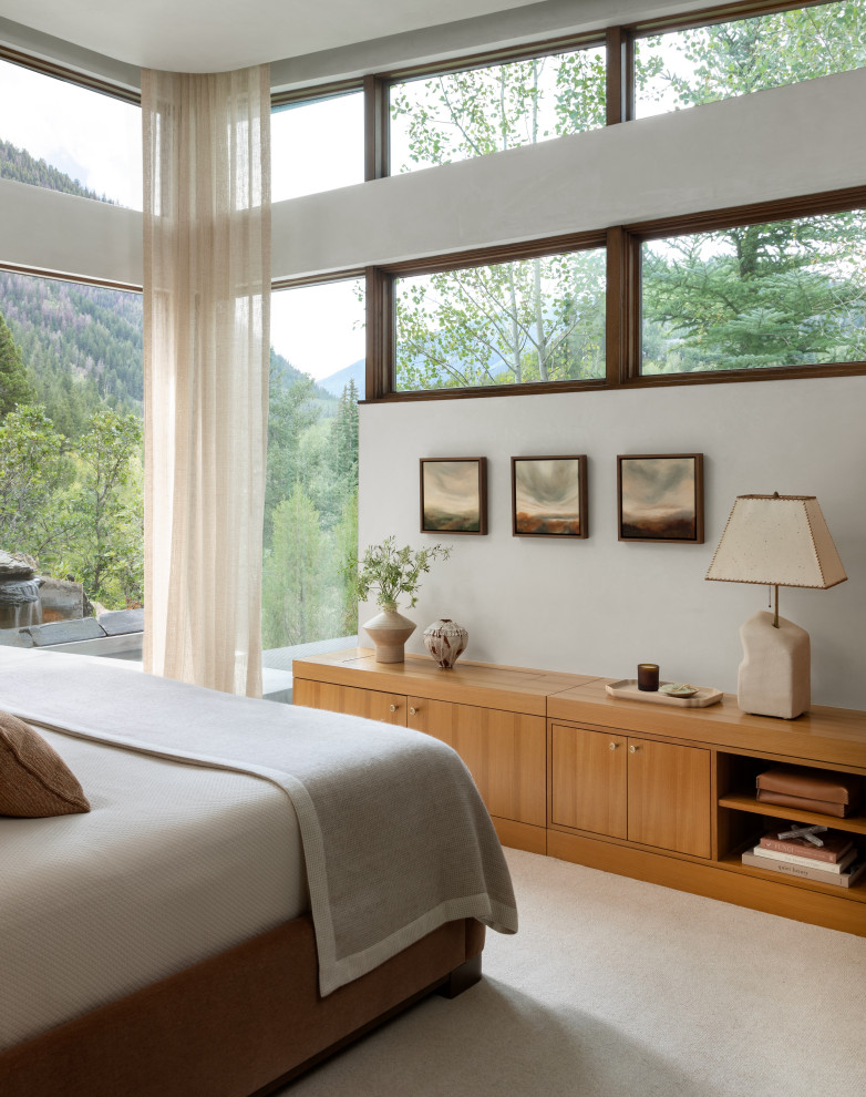 Bedroom - mid-sized modern master carpeted and gray floor bedroom idea in Denver with white walls