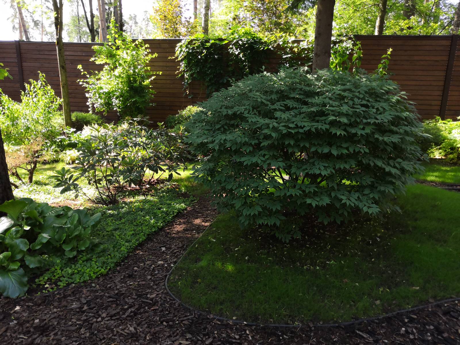 12 сот в лесу