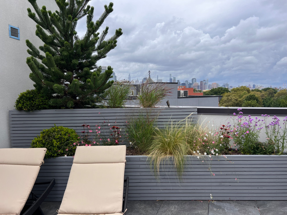 Пример оригинального дизайна: большой солнечный участок и сад на крыше в стиле модернизм с растениями в контейнерах, хорошей освещенностью и с деревянным забором