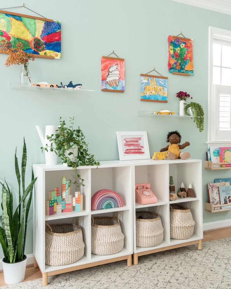 Serene DC Playroom