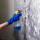 Chicago Mold Removal