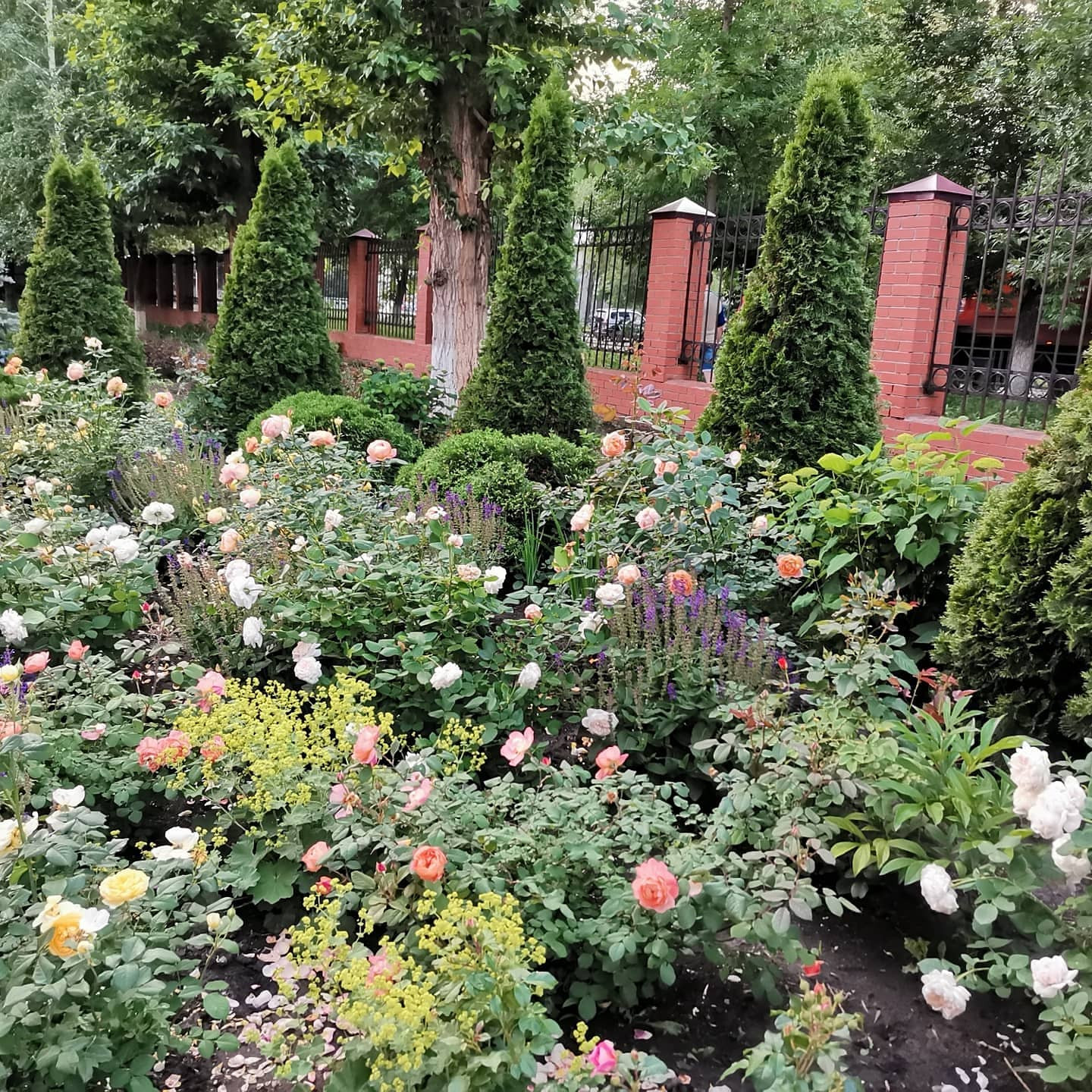 Самара ЛАП №135