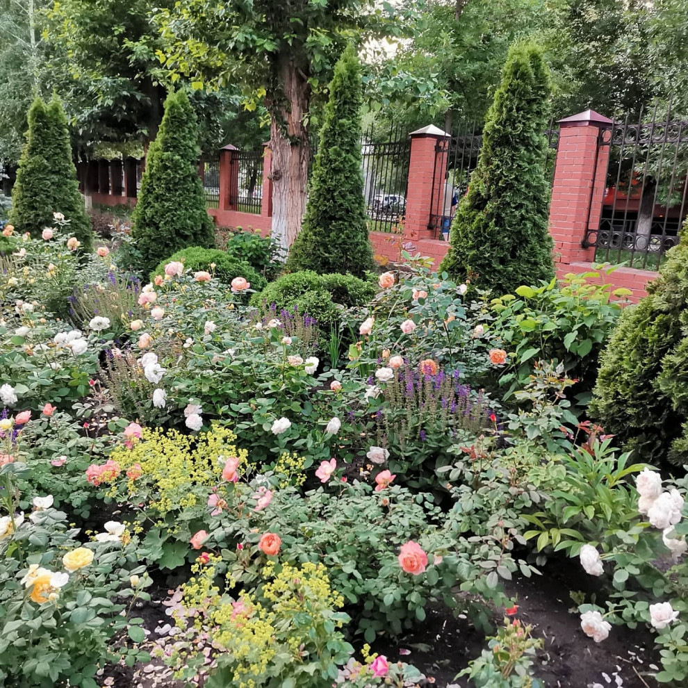 Самара ЛАП №135