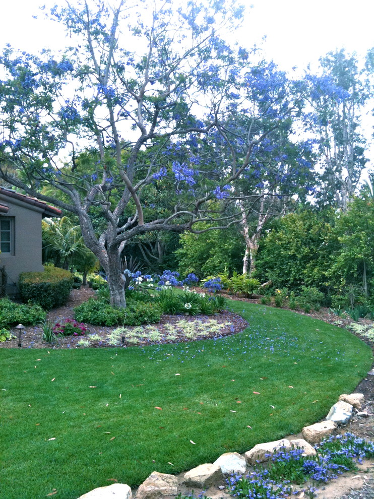 Mediterranean backyard garden in San Diego.